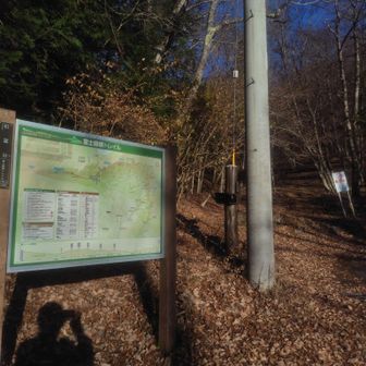 登山口に出ますここから最寄りバス停
