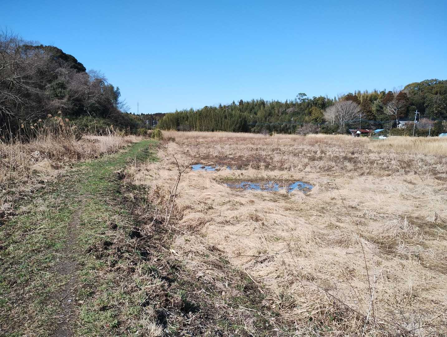 一旦耕作地に出ました