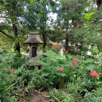 諏訪神社富士塚
