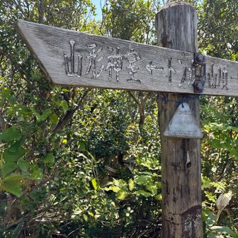 トンガリ山登頂ー！