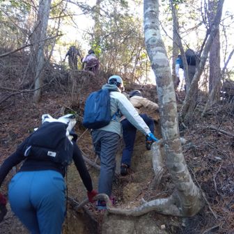 今回先頭はキノコ🍄さんに歩いてもらい僕は最後尾を歩くことにしました