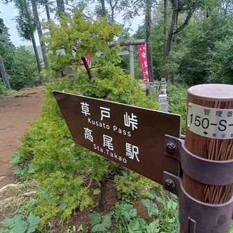 草戸峠へ