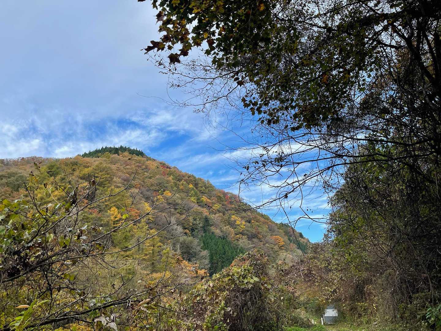 林道歩くと小屋が見えてくる
（車はオボコンベ登山口🚗³₃）
