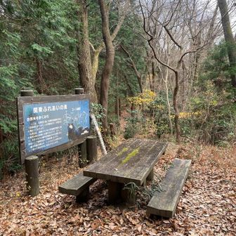 苔むしたベンチ&テーブルでした。
下山して買い物に行かなきゃ😅