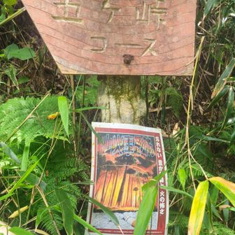 五ケ峠登山口下山
