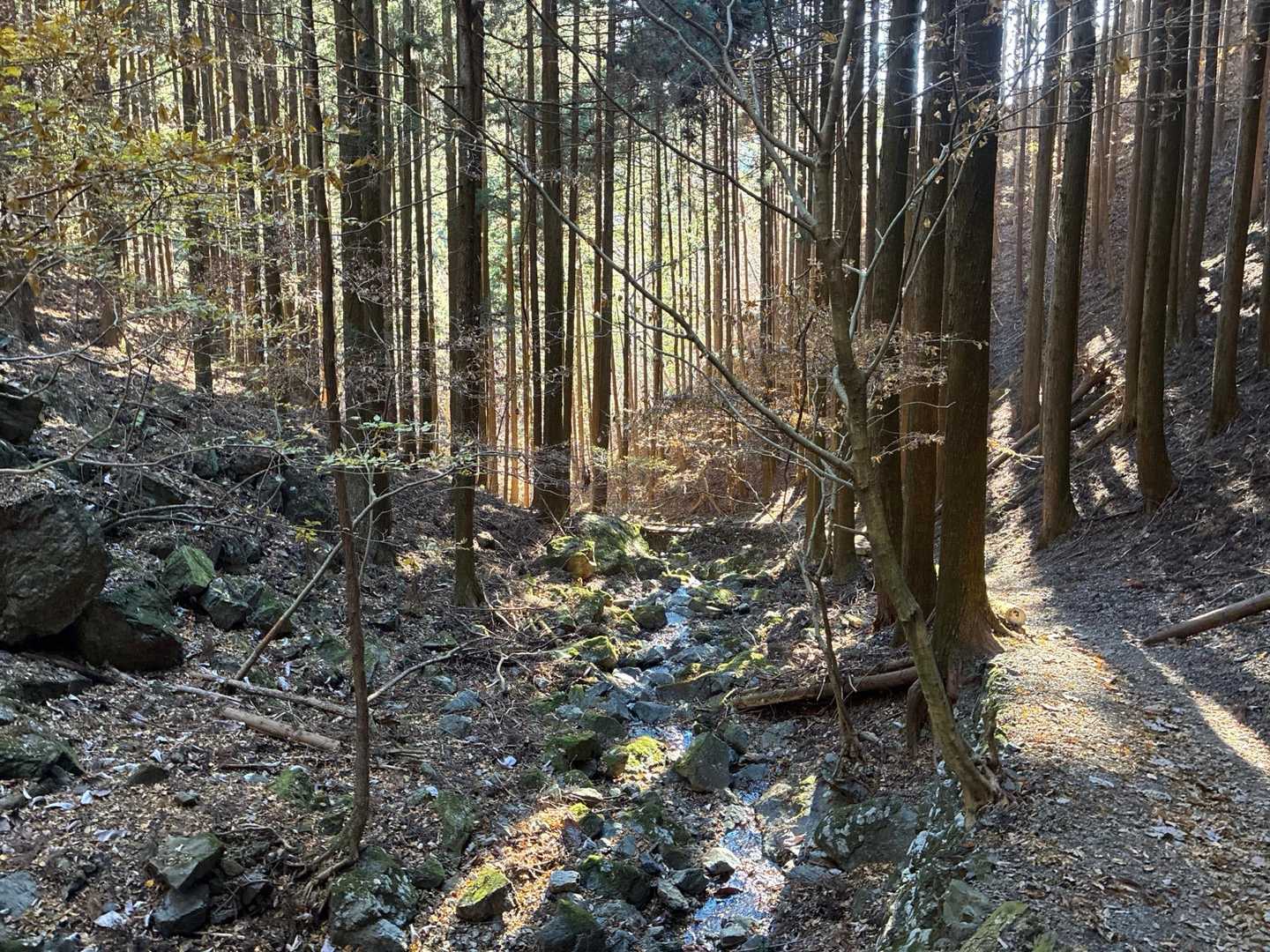 駒形登山口-鳴神山 往復コースの写真