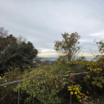 大楠山山頂から長井方面