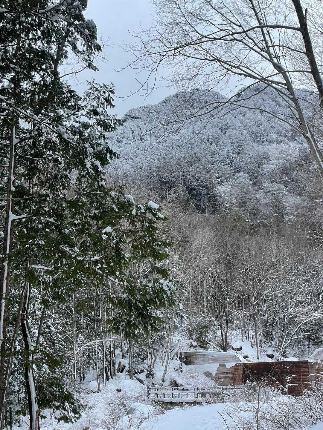 南木曽岳登山道入口-南木曽岳 往復コースの写真
