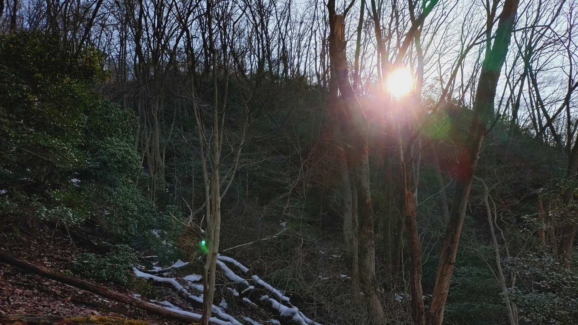 黒尾橋登山口-美女山 周回コースの写真
