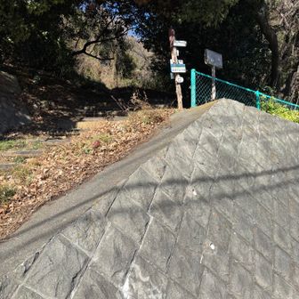 そしてここから最後のピークを目指す