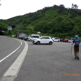 アップダウンも多く長い道のりでしたが無事下山。
山友さん、今回もお付き合い頂きましてありがとうございました！