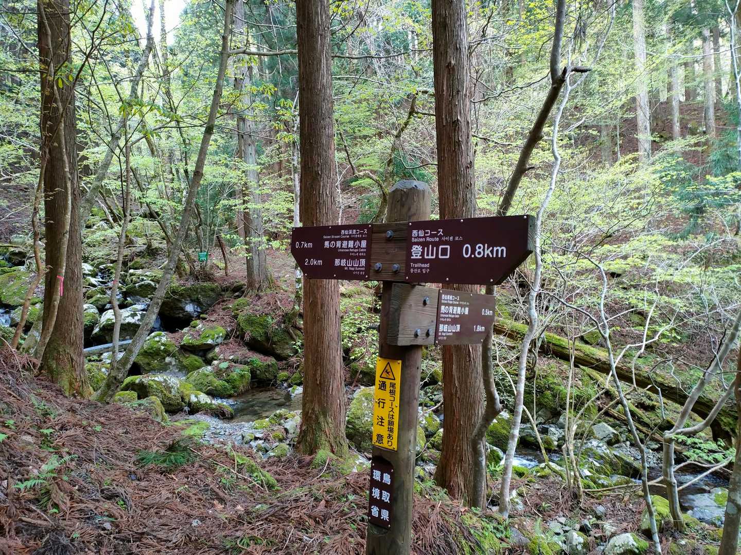 登山道入口-那岐山 周回コースの写真