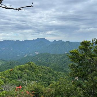 英彦山や鷹ノ巢山が綺麗に見えますね！
鷹ノ巢山はMikiさんも行ってるけど、一の岳〜二の岳にバリルートがあるんだけどさー行かんかなー
絶対楽しいと思うなぁ〜怖いやろうけどwww
暫く休憩して次に行く事にする👌