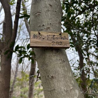 たまには寄ってこね