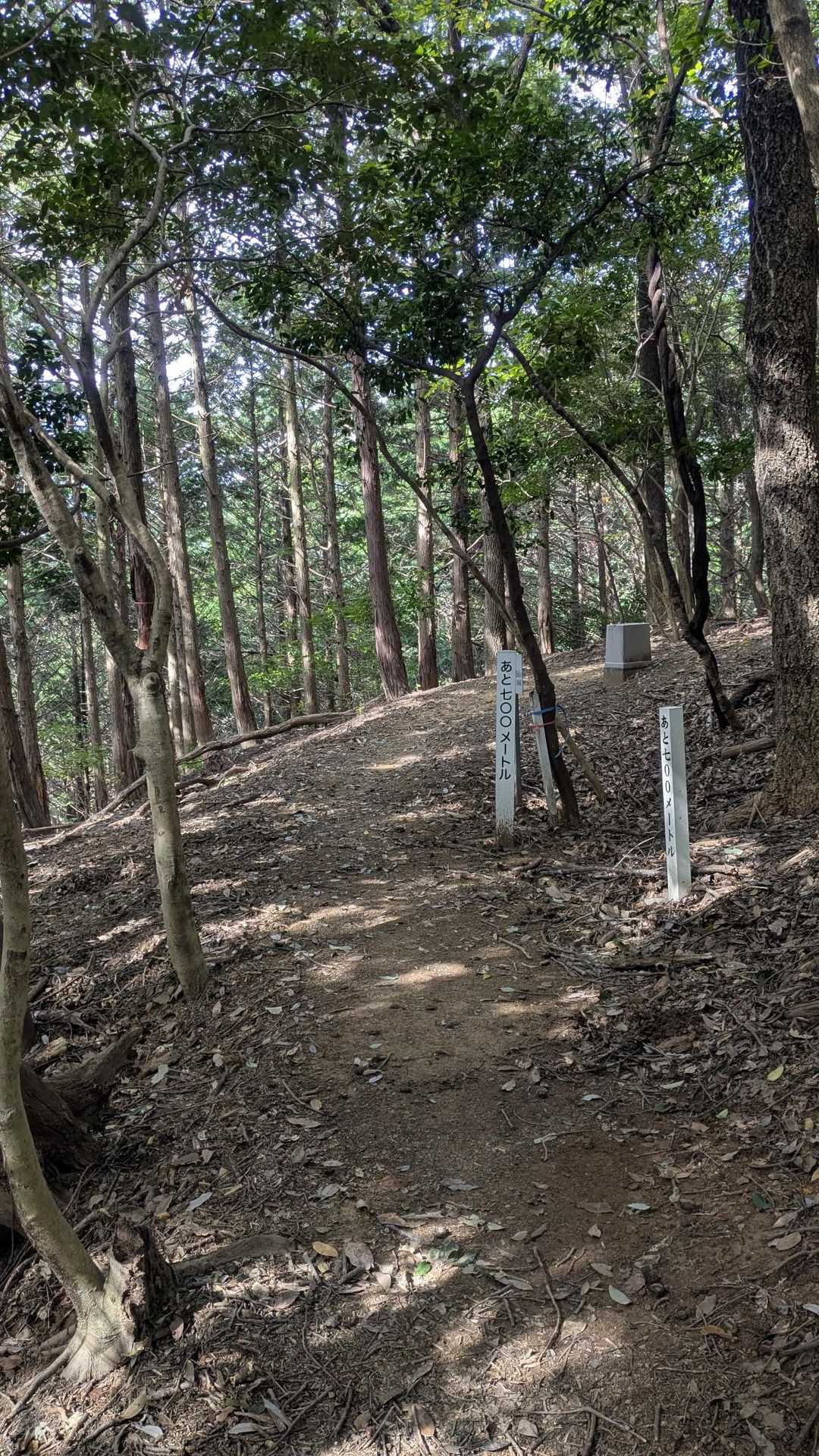 鳶巣城跡登山口-鳶が巣山 往復コースの写真