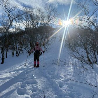 みーすけたろう