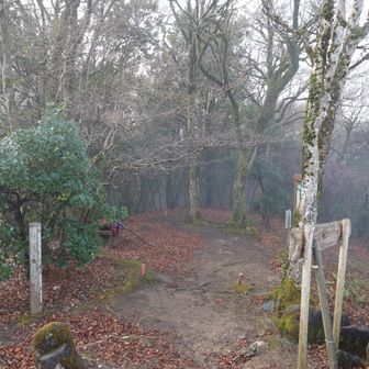 この頃は結構霧も濃くなって風も出てきました。