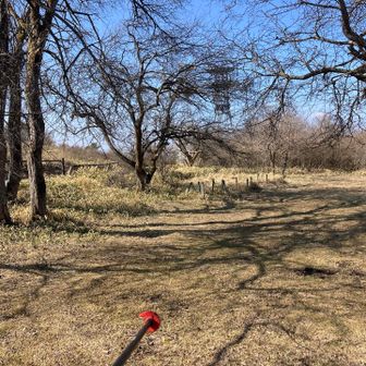 前回はここで５張