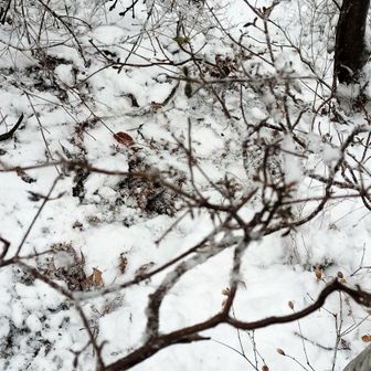 生藤山 滑って滑落