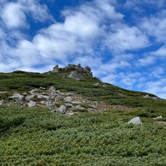 左手見上げて、石垣山！
ピークに寄らず、先への登山道歩いてます
