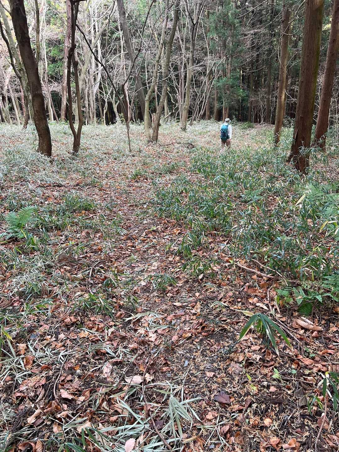YAMAP地図では通行禁止になってる所、普通に通行可能でした👌
