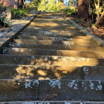 蹴上がりも高い