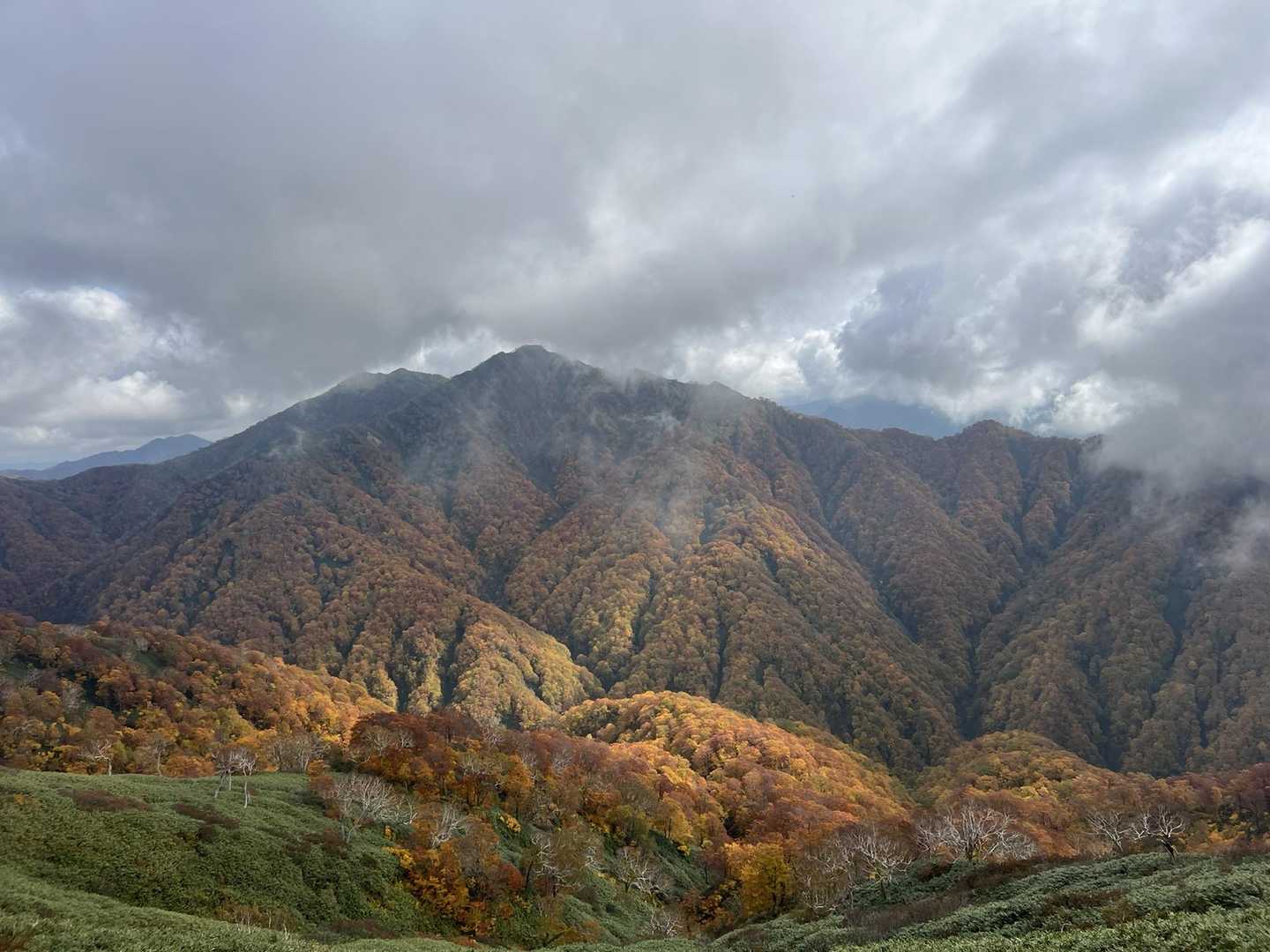 🍁フッカフカ🍁モッコモコ🍁冷水岳🍁