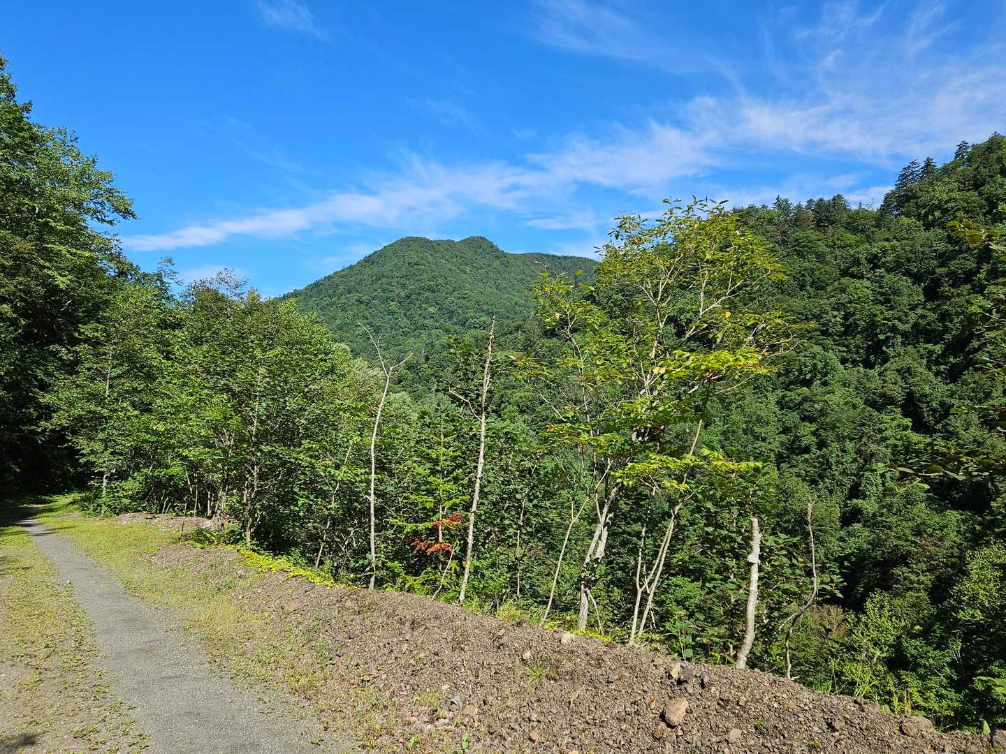 林道歩きになったので、前に行きガイドさんとお話ししながら歩きました
帰りは何故か、少し前になってもイエローカード無し
お友達が突っ込みいれてきました(笑)
楽しく帰って来ましたよ