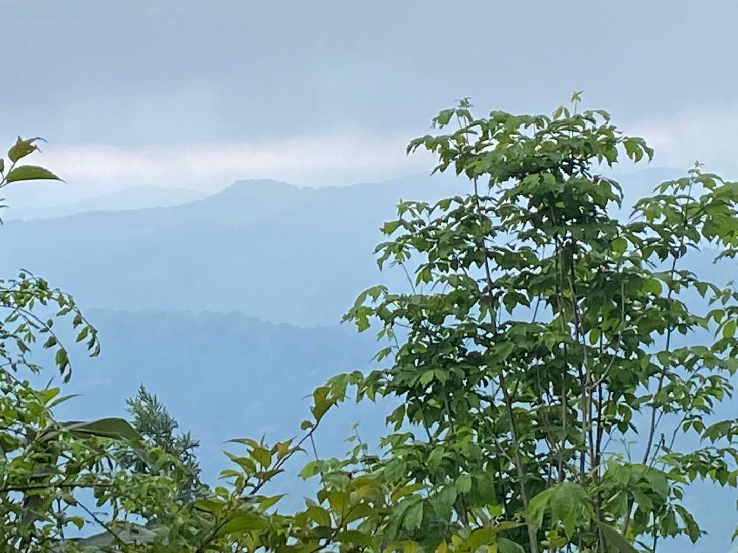 微かに山々が見える