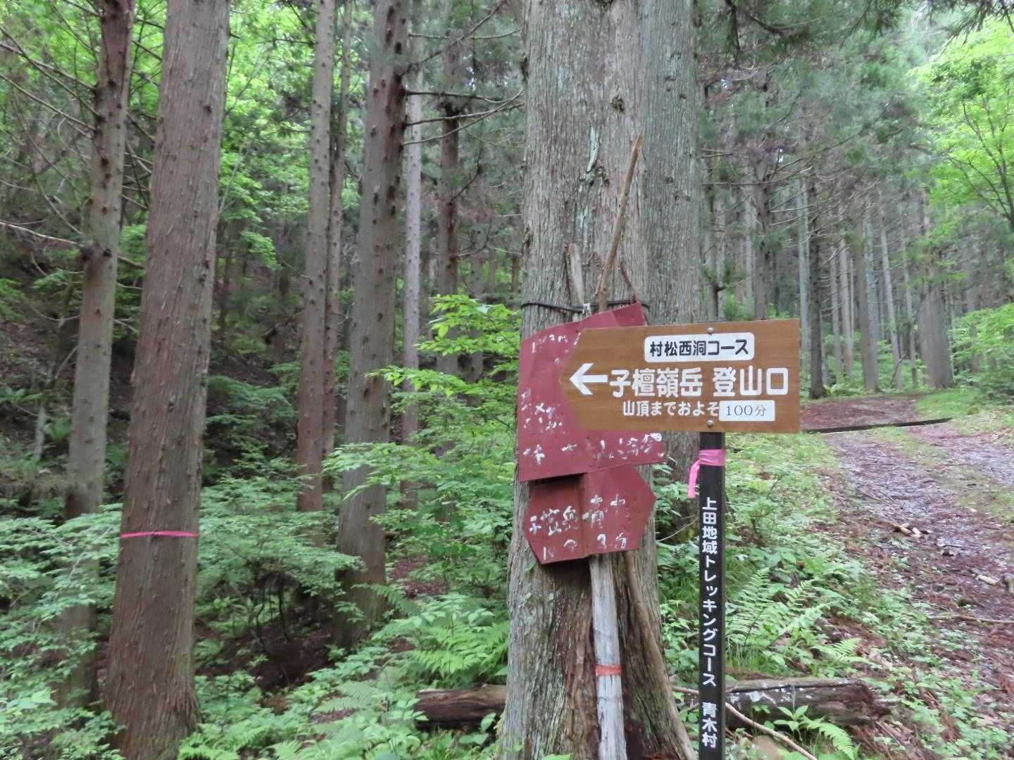 ◀村松西洞コース
