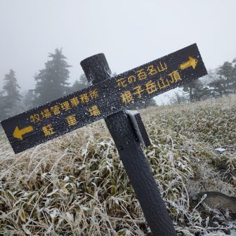 登山口駐車場へ下山、根子岳は花の百名山