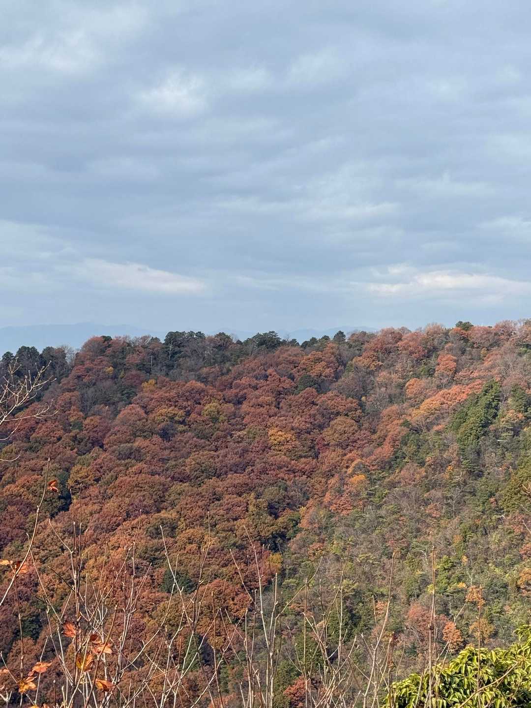 まだ紅葉を楽しめました