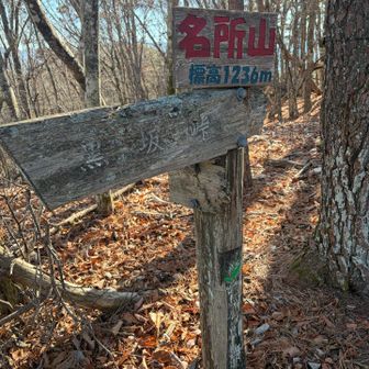 名所山登頂。ココまでの傾斜かなりキツイです…
