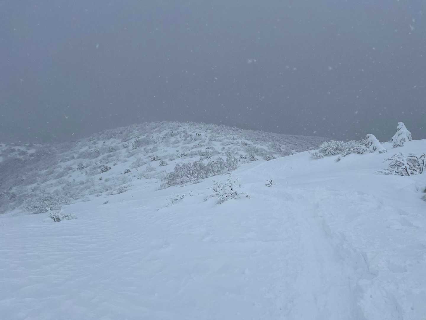 ちょっと小雪が舞いだした。
曇天ながら絶景を堪能した後だったのでラッキー。