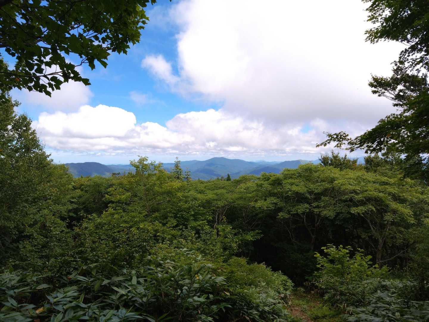 恐羅漢山-旧羅漢山-獅子ヶ谷登山口-十方山-奥三ツ倉-前三 周回コースの写真