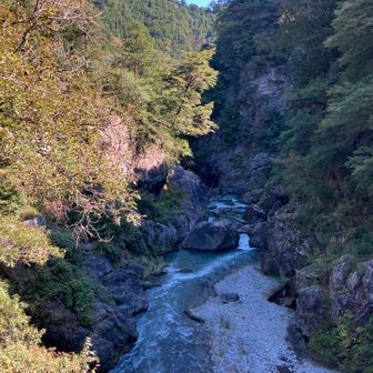 橋の上から👀