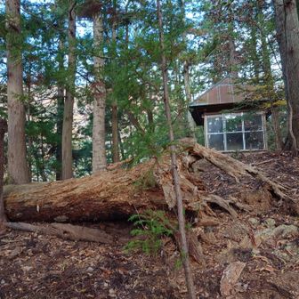 謎の祠
昔は山の上に集落があったそうです。
