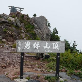 山頂標識はここにあるけど最高地点は奥