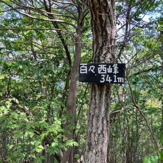 西峰到着