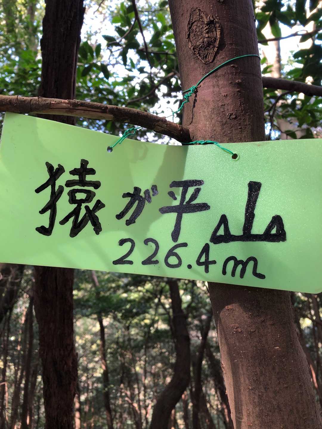 猿が平山山頂です⛰
こちらも高い位置にありました👀
見逃しそう😅