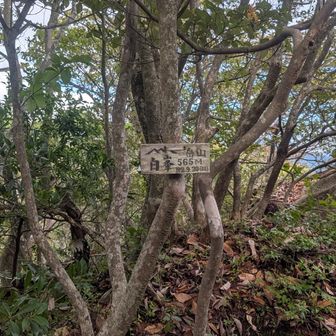 獣臭がする怖い