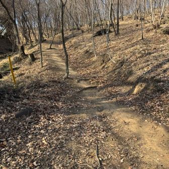 気を取り直して次は建岩へ。歩きやすいいい道😆