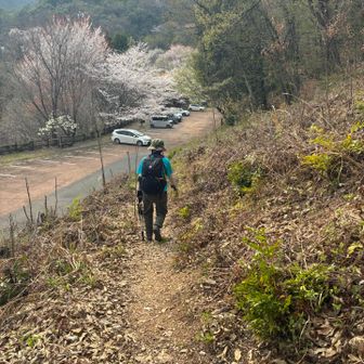 駐車場が見えた🅿️