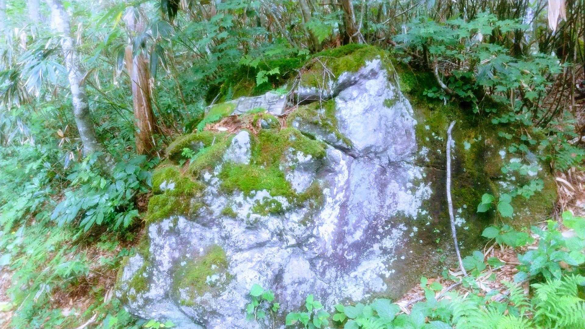 分岐の手前に「人面岩」
斜め上を向いた顔に見えるかな🤔