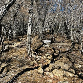 毛無山9号目🏔️後すこし！もう一息😊