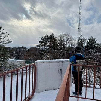 展望台からの景色