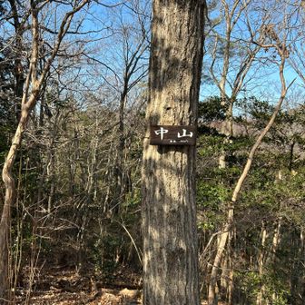 尾根を歩き中山まで来ました。
標高143m
今日は中山をゴールとして帰路に着きます。
ルートミスをしたこともあり大平山は諦めることにしました😣