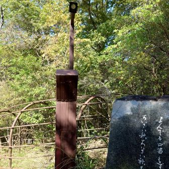 センサーが反応して石に刻まれている歌が流れる仕組み😙
いつからあるのかわからないけど現役なんや😅
