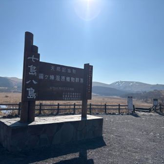 湿原にとうちゃこ