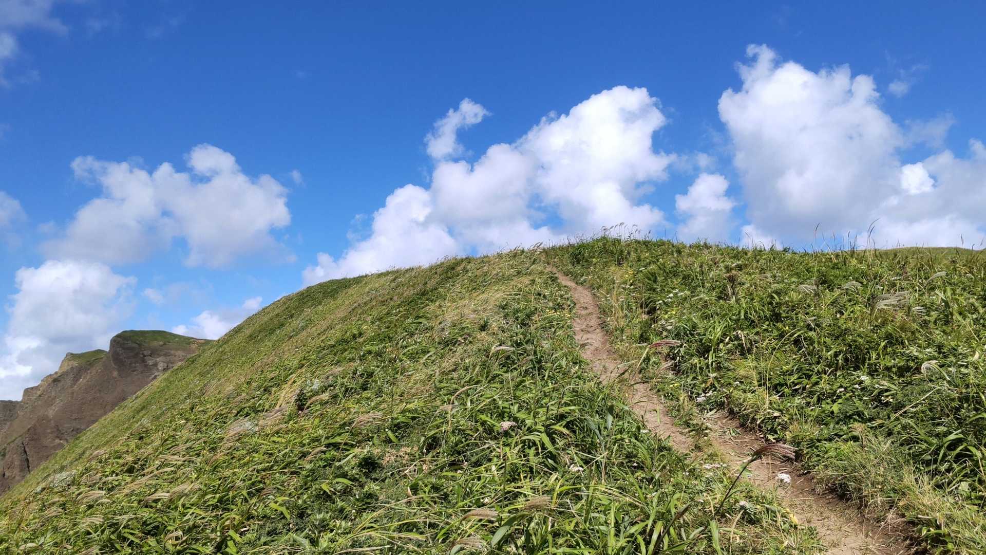 これだけ見ると森林限界の稜線みたい
